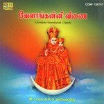 Vailankanni Veenai - P. Susheela Song Download